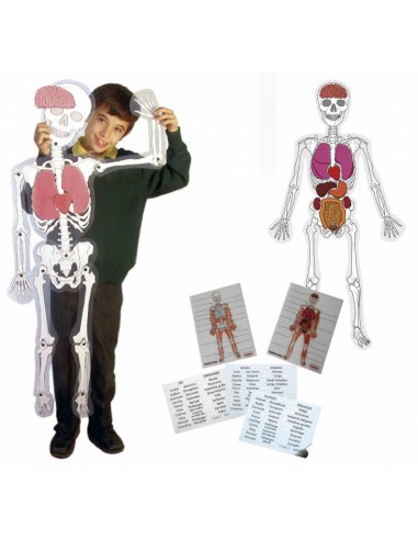 Skeleton man - Hombre esqueleto