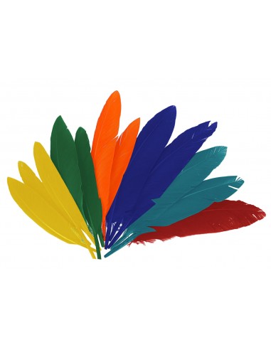 Plumas colores Indio 11-14cm 60u